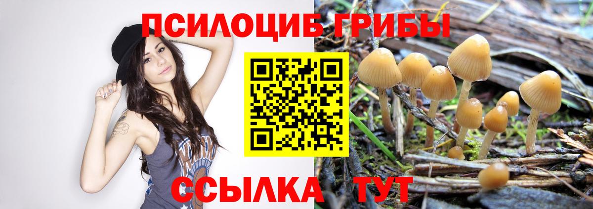 Галлюциногенные грибы мухоморы Валуйки