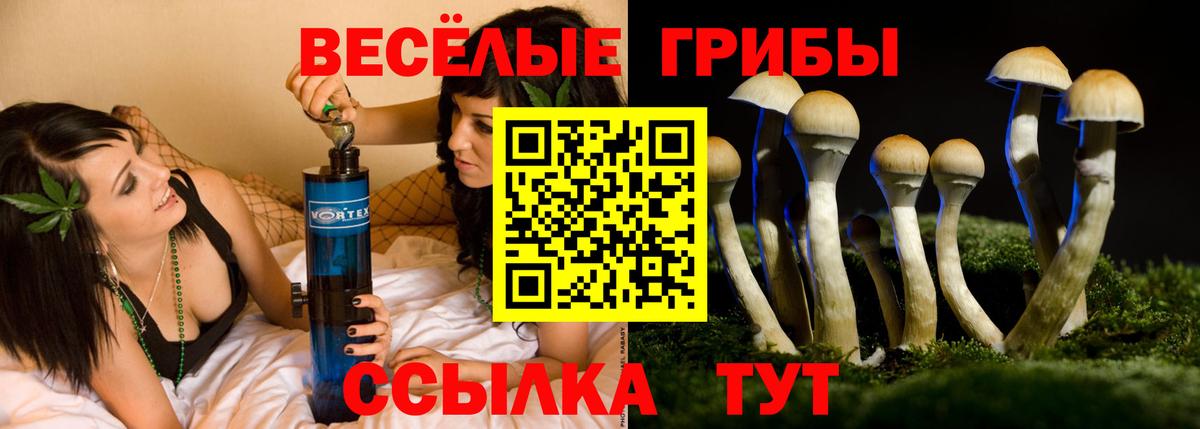 купить наркоту  Вход с VPN  Валуйки  Псилоцибиновые грибы мицелий 